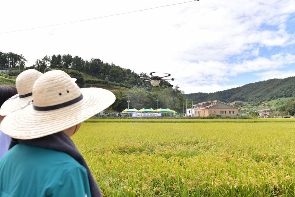 ▲  벼농사 종합평가회 모습