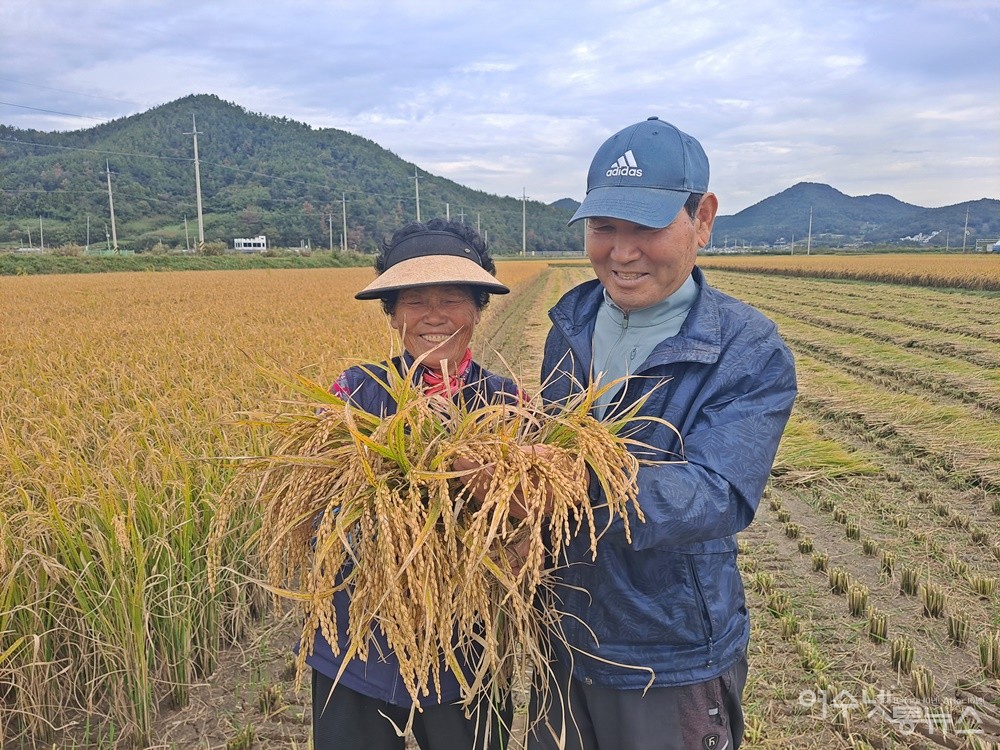 ▲알알이 잘 여문 벼 이삭을 한 다발 손에 쥔 박종수 이장 부부가 환하게 웃고 있다. ⓒ조찬현