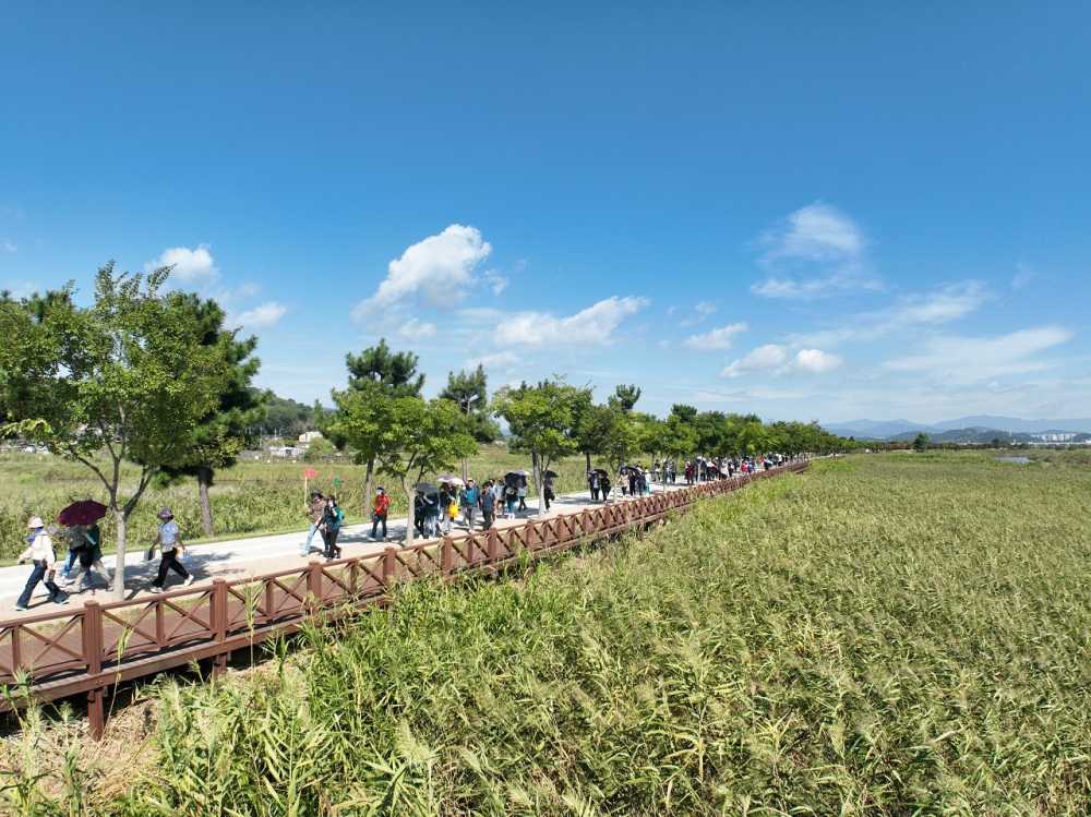 ▲람사르길을 걷는 투어 참가자들