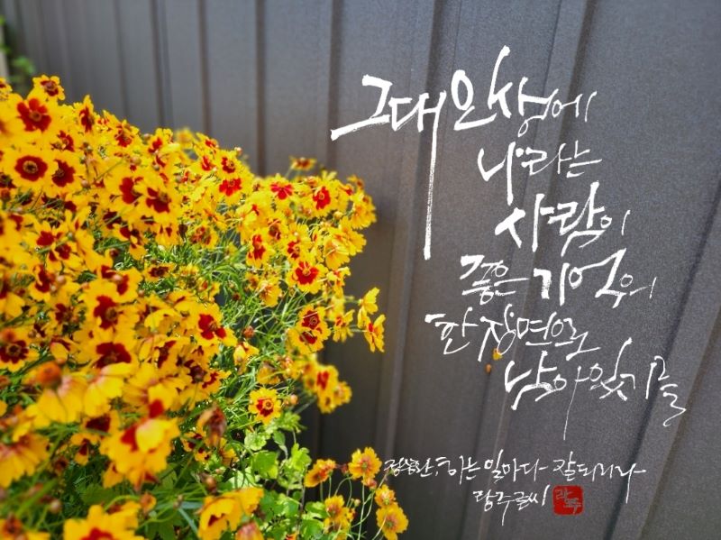 ▲이랑주 작가 전시회 ⓒ여수시의회