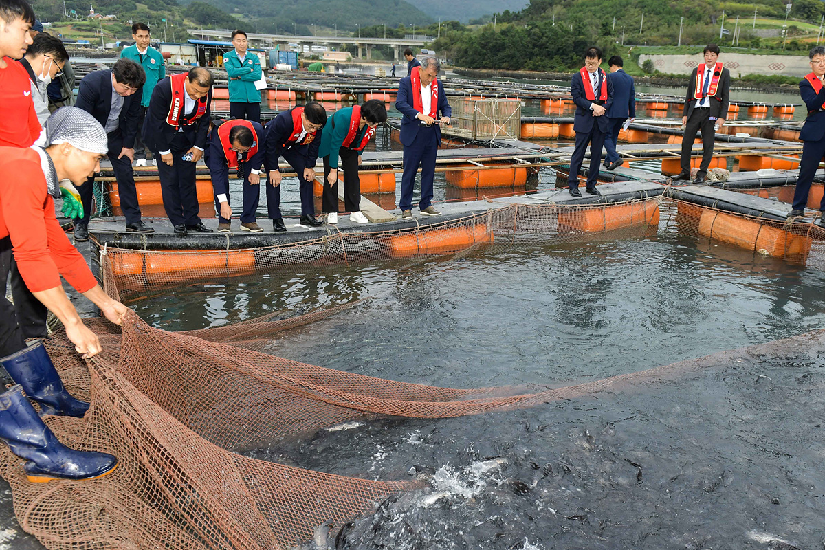 ▲여수시, 국회 농수위와 고수온 피해 양식장 점검 ⓒ여수시