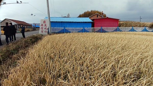 ▲ 백초구령에 있는 고성촌 모습으로 윤관이 9성을 쌓았다는 설이 있는 곳이다. 일제강점기에는 중국동포들이 집단촌을 이루어 살았다고 한다. 중국 동포들은 물을 다스려 벼농사를 재배하기 시작했다고 한다. 가이드 말이에 의하면 "중국 동북 3성에서 벼를 재배하고 있는 곳에는 중국동포들이 살고 있다고 보면 된다"고 했다. ⓒ 오문수