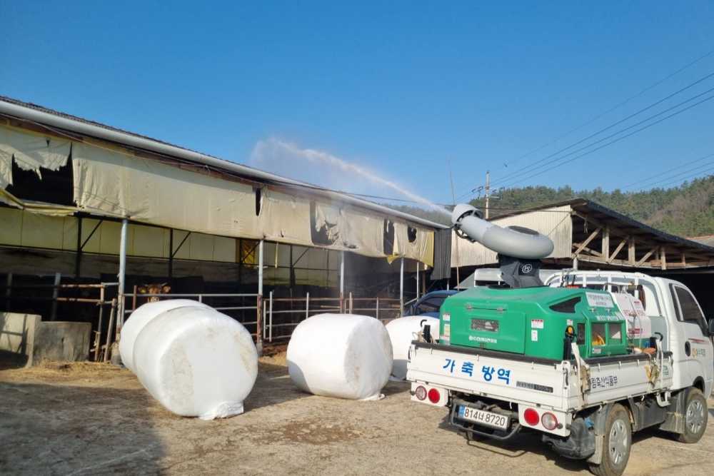 ▲ 고병원성 조류인플루엔자(AI) 특별방역대책 추진 ⓒ여수시