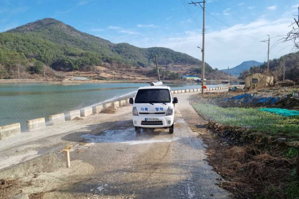 ▲고병원성 조류인플루엔자(AI) 특별방역대책 추진  ⓒ여수시