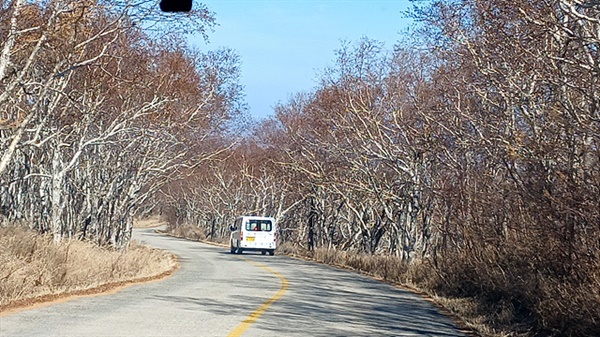▲ 백두산 정상으로 가는 길 주변에는 자작나무가 자라고 있었다. ⓒ 오문수
