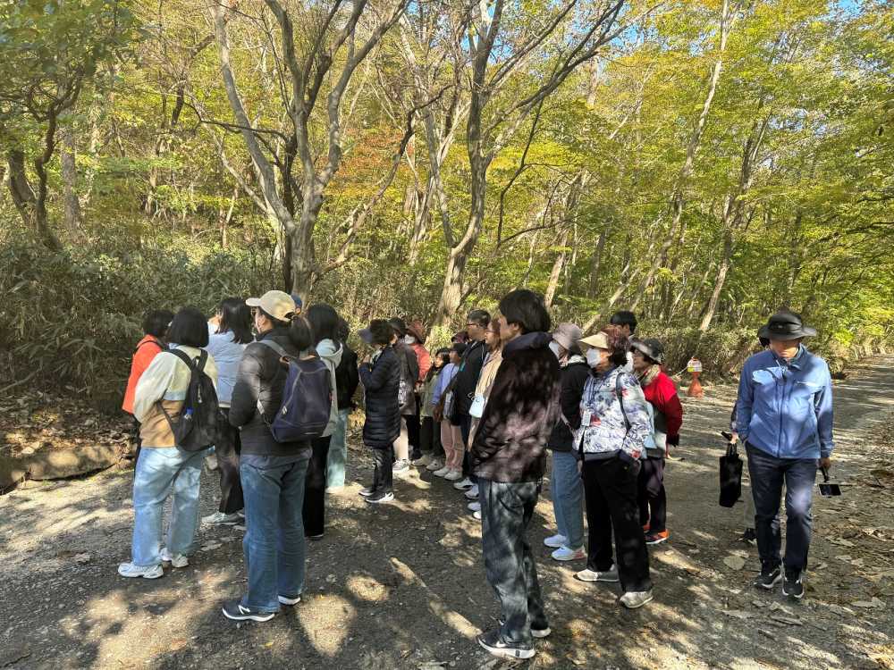 ▲ 순천시티투어 가을빛투어 참여자들이 선암사에서 해설사의 설명을 듣고 있다ⓒ순천시