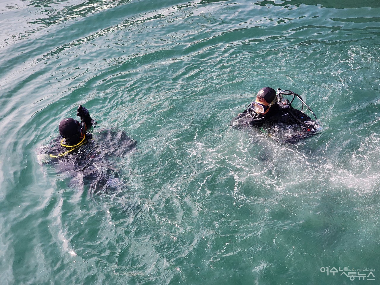 ▲ 불가사리 퇴치대회 및 수중정화활동에 나선 다이버들의 모습 ⓒ심명남