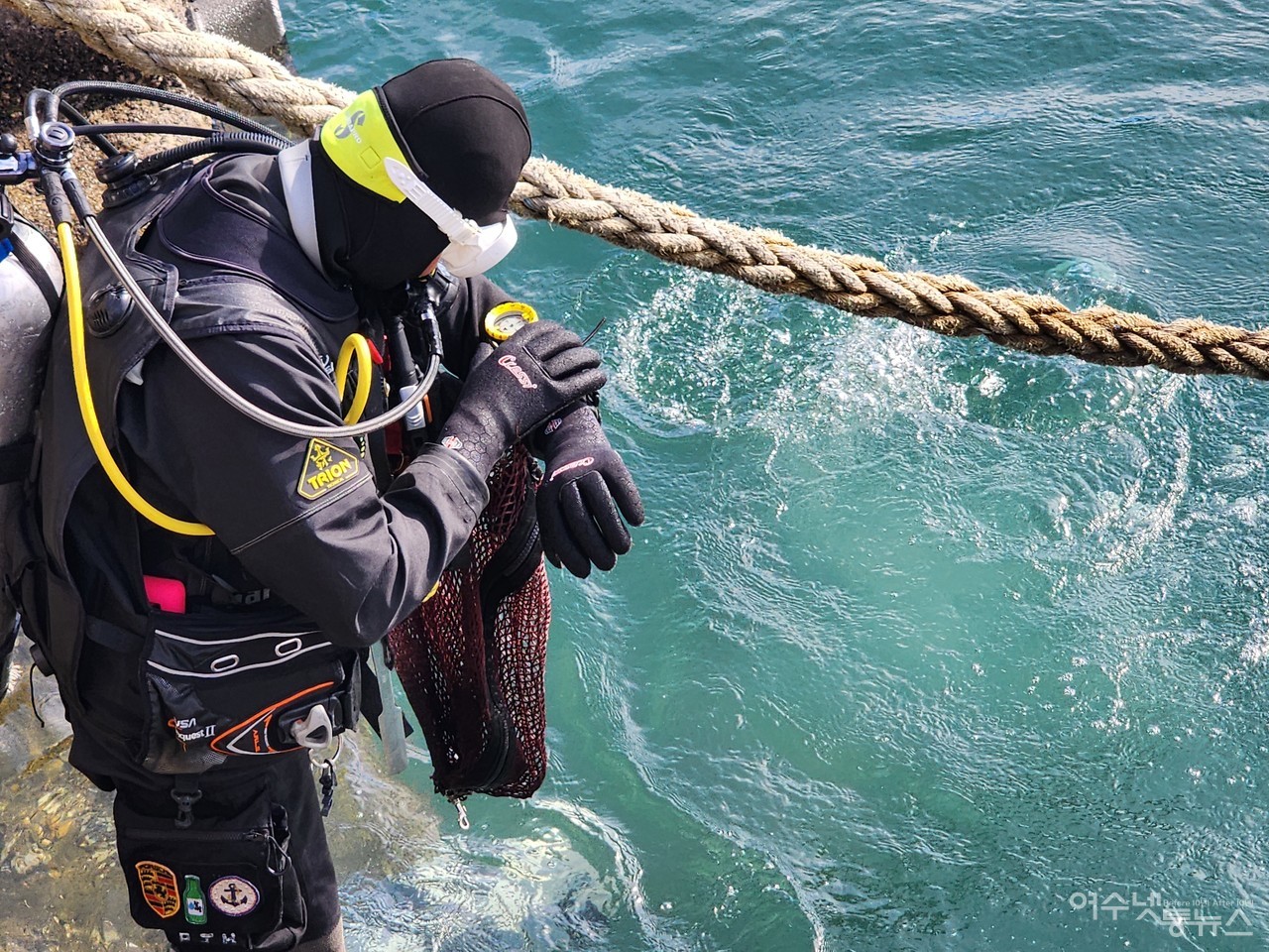 ▲ 불가사리 퇴치대회 및 수중정화활동에 나선 다이버들의 모습 ⓒ심명남