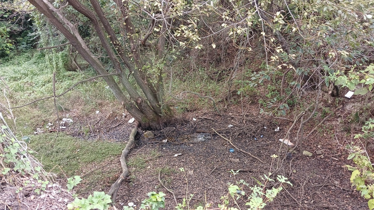 ▲ '무카이집' 뒷편에 있었던 둠벙은 현재 메워졌지만 아직도 땅바닥에 물기가 보인다. '무카이집'에서 제비호를 기다리던 환자들이 이 물을 식수로 이용했다고 한다 ⓒ 오문수