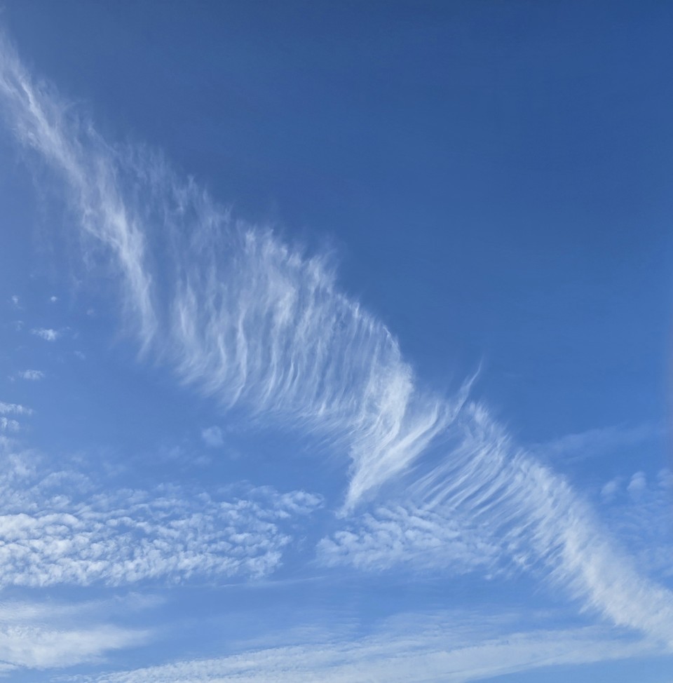 ▲ 수능은 순응에게 종말을 고하는 날이다.