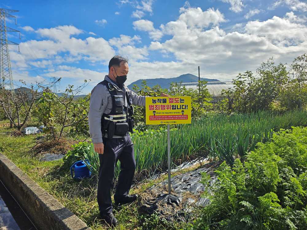 ▲ 수확철 절도예방모습ⓒ소라파출소