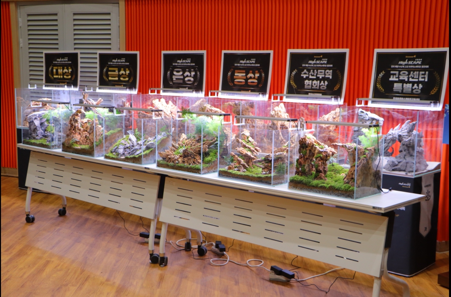 ▲ 전남 수산계 고교 화합의 날” 행사 모습ⓒ여수시청소년해양교육원