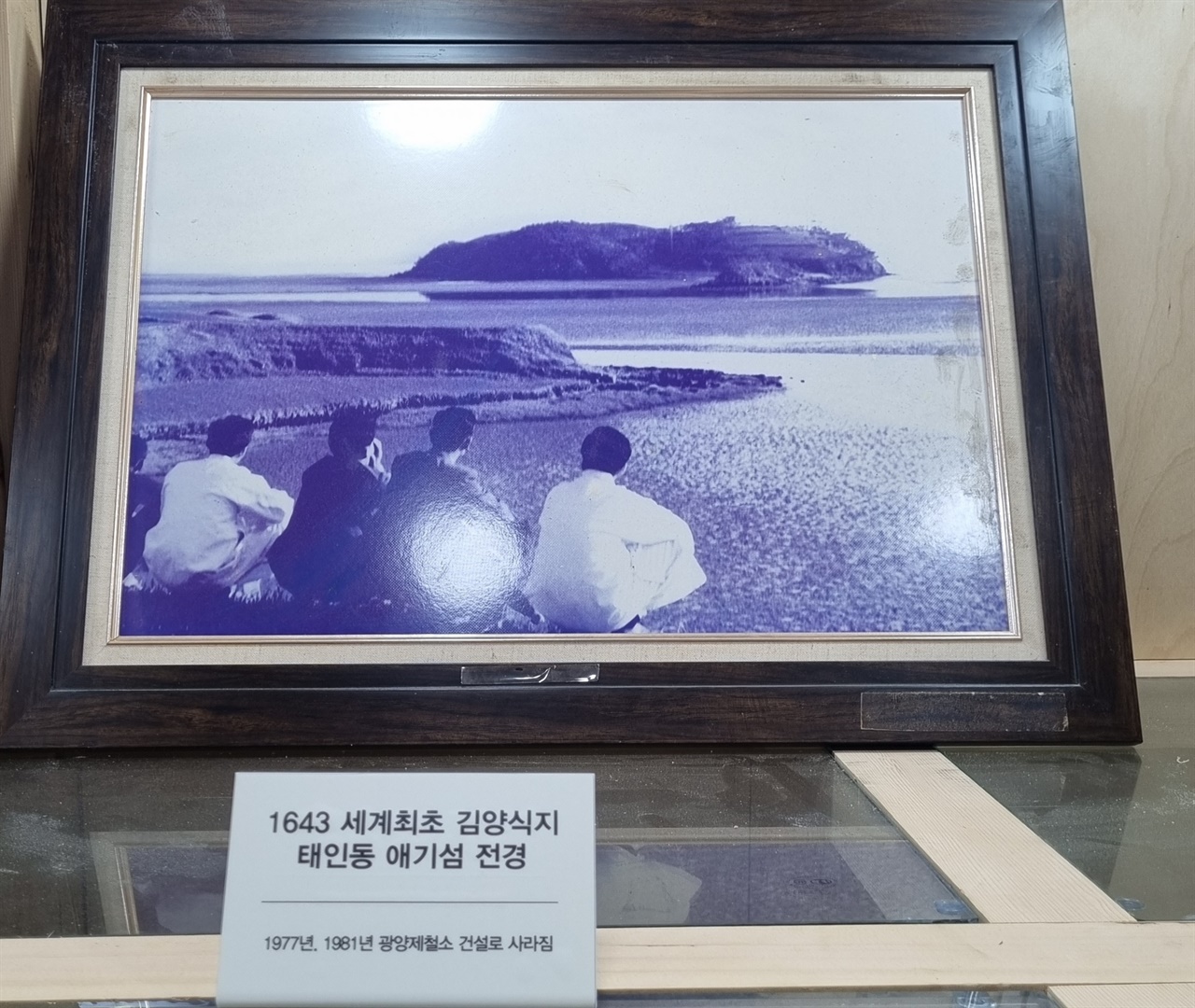 ▲ 1643년 세계 최초 김양식지 태인동 애기섬 전경 ⓒ 김경희