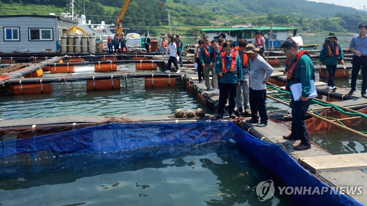 ▲ 고수온·적조 대응 상황 점검[해양수산부 제공. 재판매 및 DB 금지]