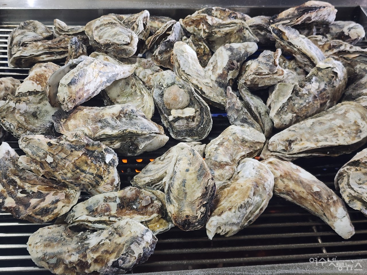 ▲여수시 돌산 안굴전에 위치한 럭셔리 글램핑 비토애 맞은편 정우굴구이에서 굴이 익어가고 있다 ⓒ심명남