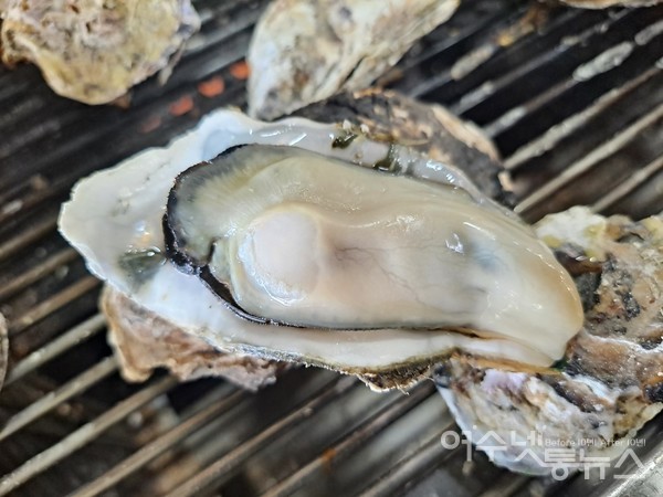 ▲여수 돌산 평사리 정우굴구이 알굴 ⓒ조찬현