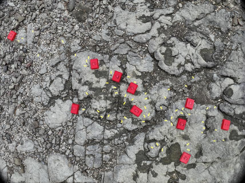 ▲대륵도 공룡골격화석 분포지  ⓒ국가유산청