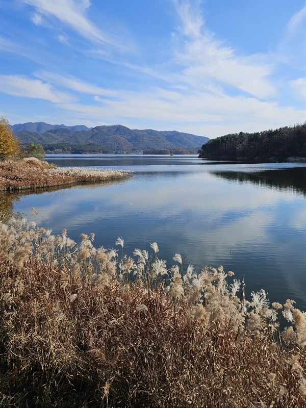 ▲ 구름과 갈대갈대꽃은 햇살에 은빛으로 춤추고, 파란 하늘에 날아가는 새털구름이 옥빛 호수에 내려 앉았다. ⓒ 박귀단