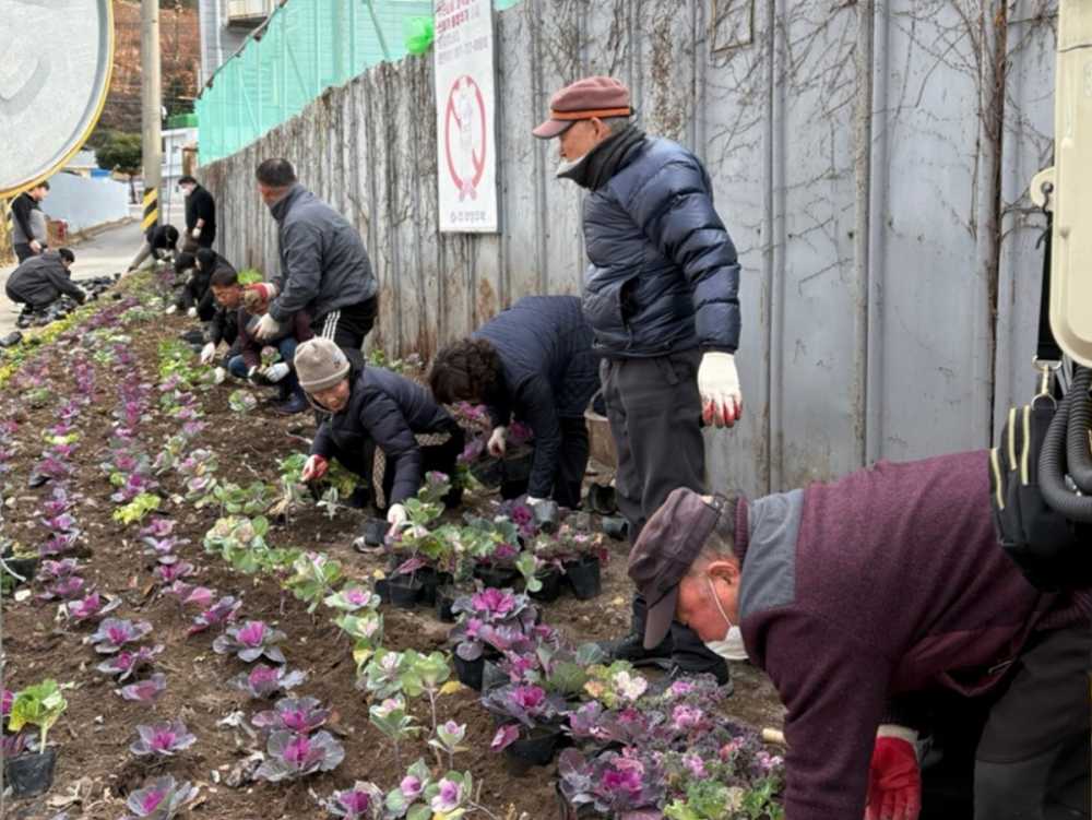 ▲여수시 문수동, 아파트 재건축지 인근 공한지에 꽃밭 조성. ⓒ여수시