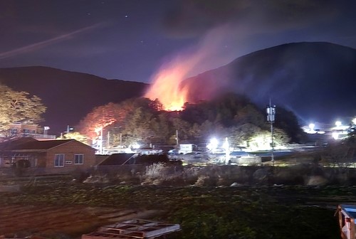 ▲ 여수서 발생한 산불[산림청 제공. 재판매 및 DB 금지]