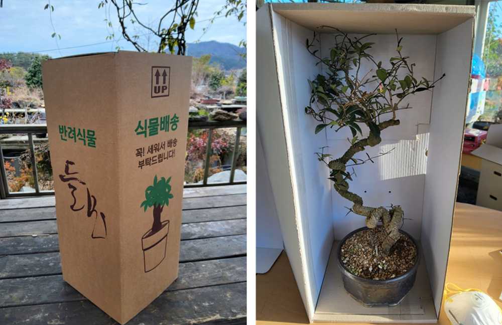 ▲사회적경제기업 스케일업 컨설팅 ‘성료’.ⓒ여수시