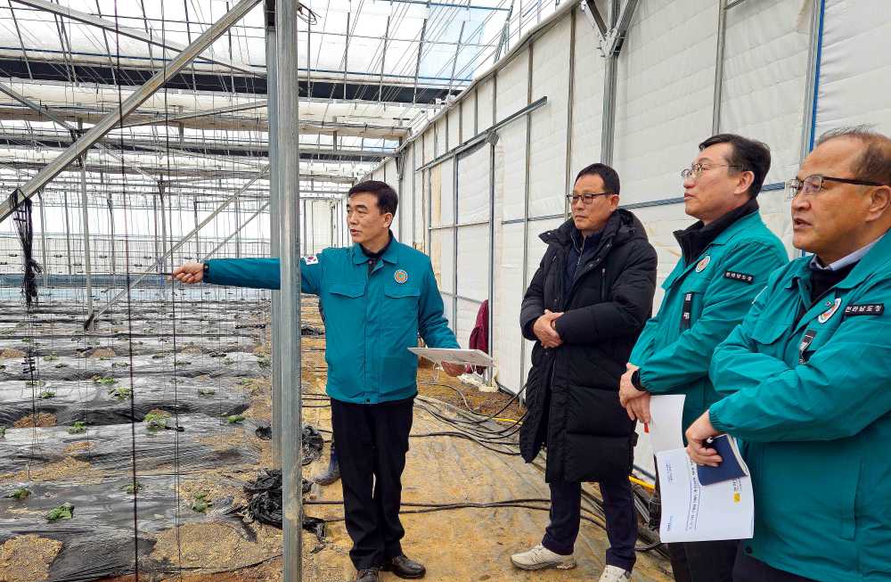 ▲ 대설·한파대비 시설하우스 현장 점검 ⓒ전라남도청