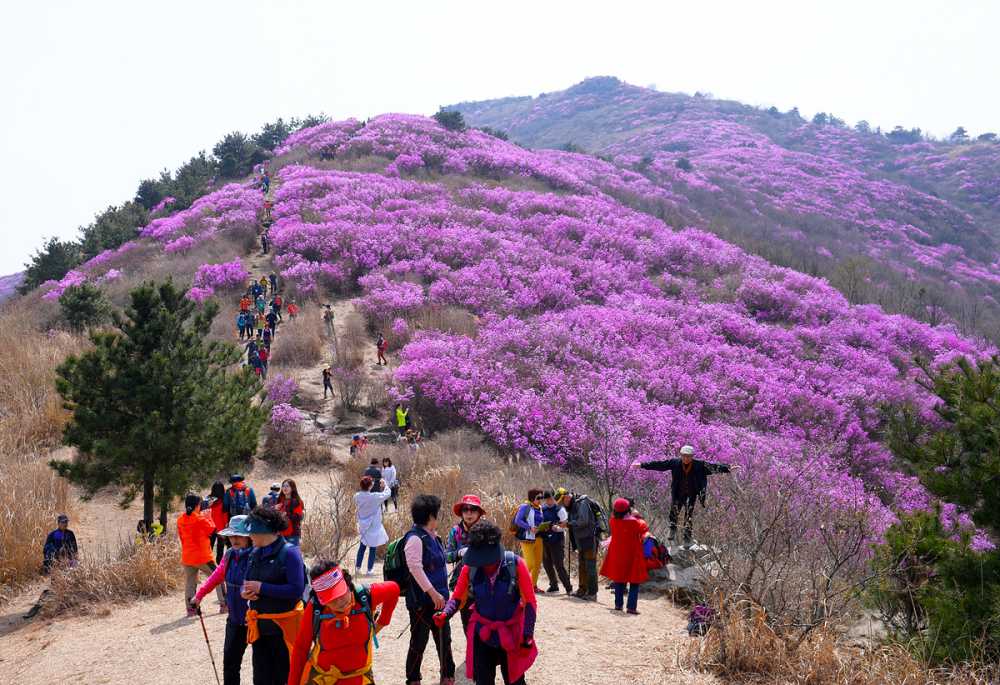 ▲ 여수 영취산.ⓒ여수시