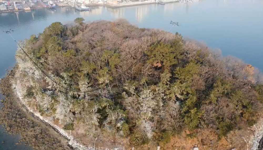 ▲ 여수시, 장군도에 민물가마우지 방지 덮개 그물 설치 ⓒ여수시