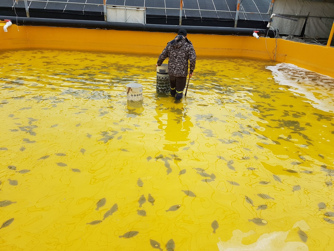 ▲ 양식어가 배합사료 구매자금 지원-넙치 양식장 ⓒ전라남도
