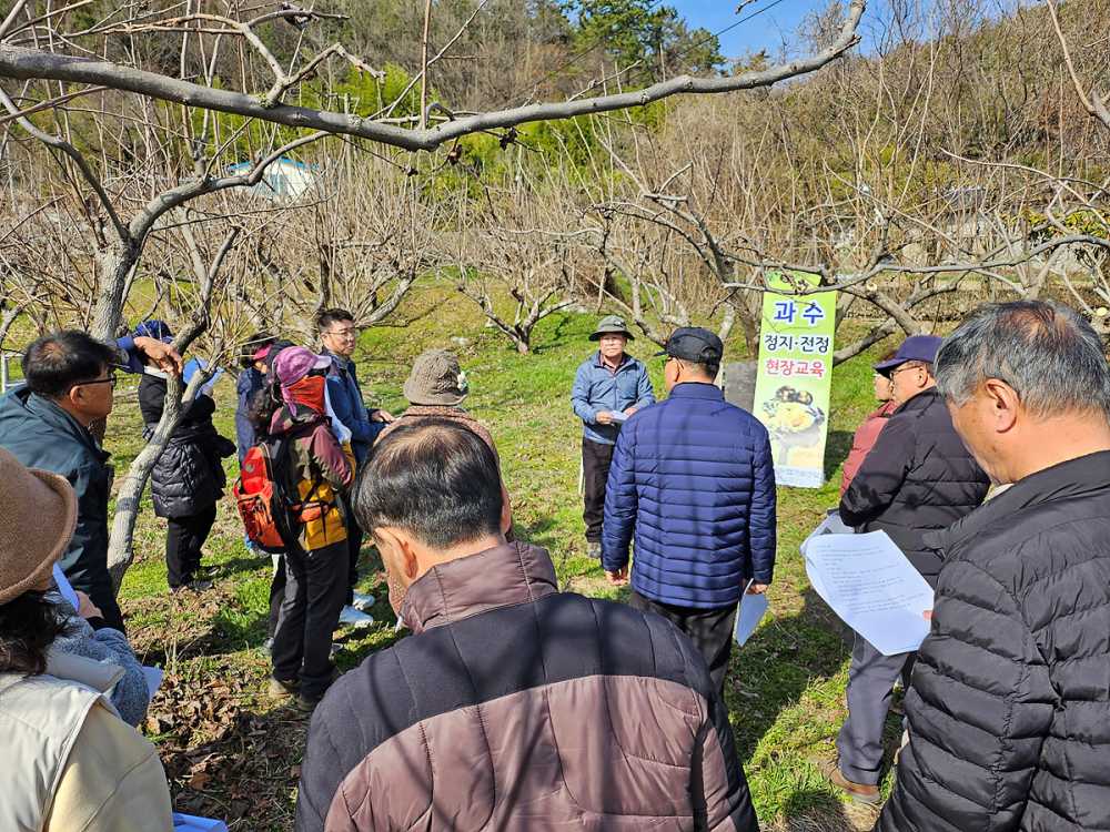 ▲ 지난해 실시한 ‘여수시 과수 정지·전정 현장 교육.ⓒ여수시