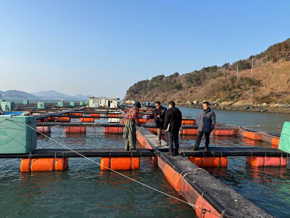 ▲ 최근 지속된 강추위로 해수 온도가 크게 하강함에 따라 양식어류 피해 예방에 총력을 기울이고 있다.ⓒ여수시
