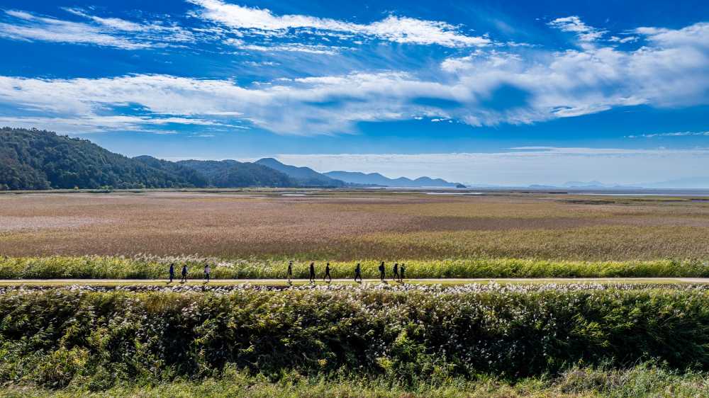 ▲ 남파랑길 걷는 사람들 ⓒ순천시  (자료사진)