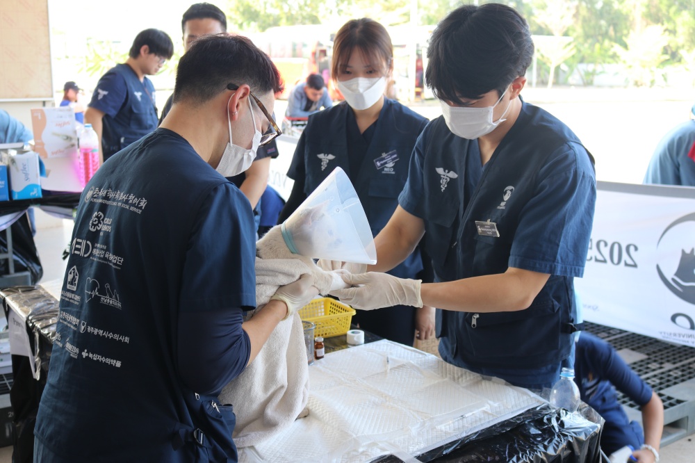 ▲ 봉사활동 모습 ⓒ전남대학교