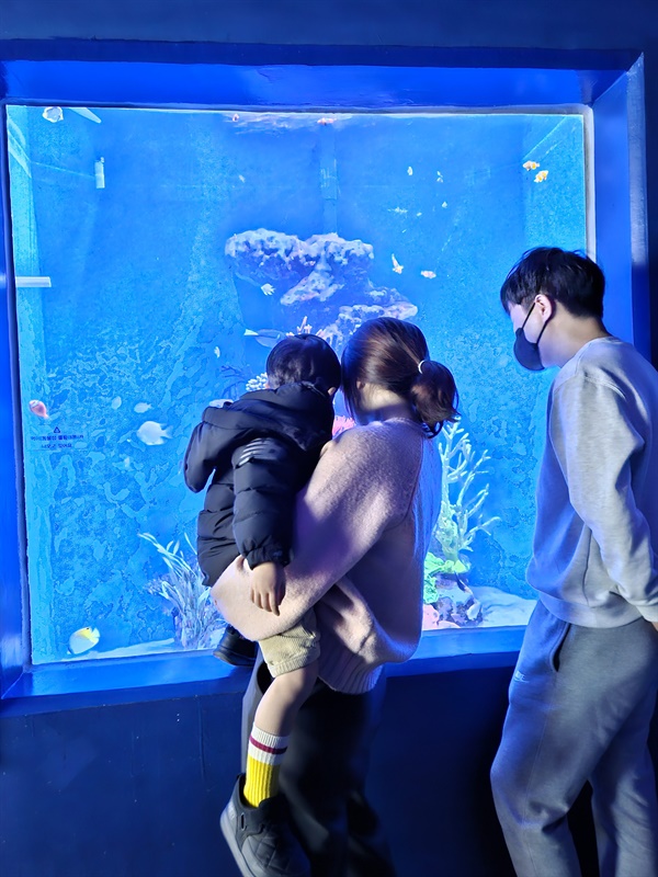 ▲ 흰동가리와 산호초를 열심히 보고 있는 손자 ⓒ 박귀단