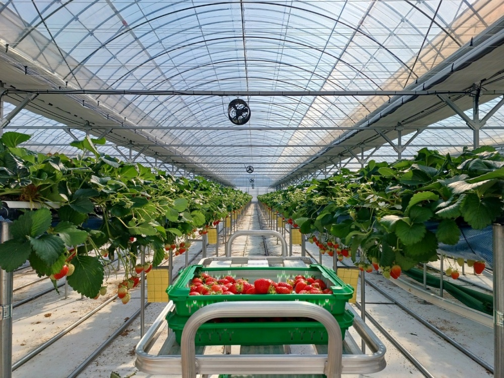 ▲내재해형 스마트온실 ⓒ순천시