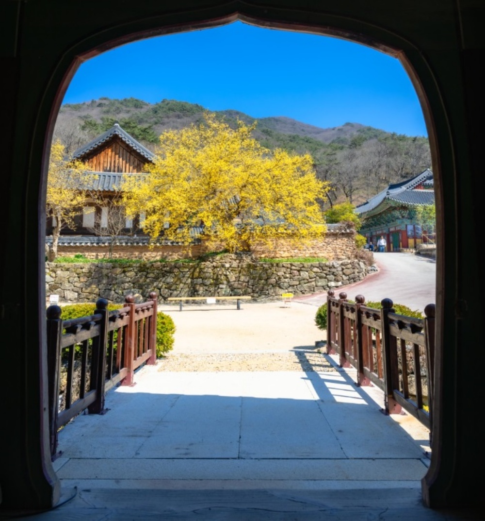 ▲순천시 송광사 ⓒ순천시