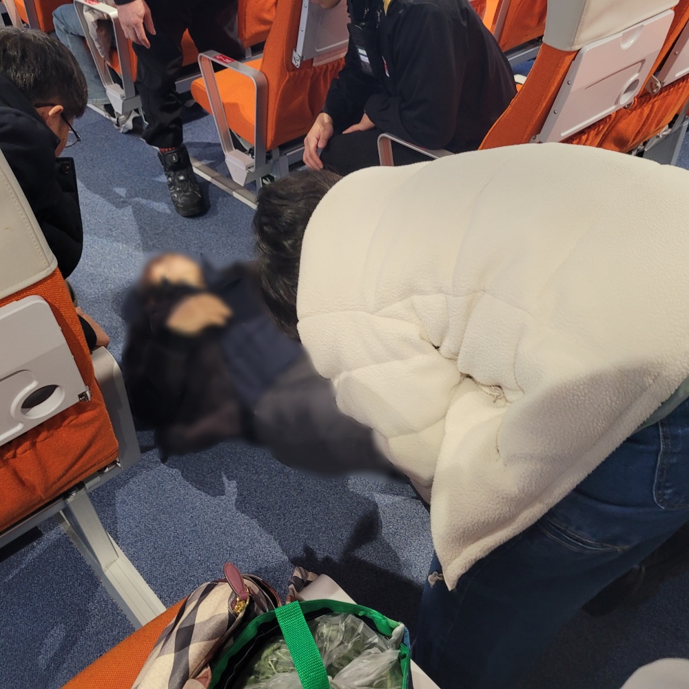 ▲해양경찰이 심장질환 환자를 여객선내에서 처지 ⓒ여수해양경찰서