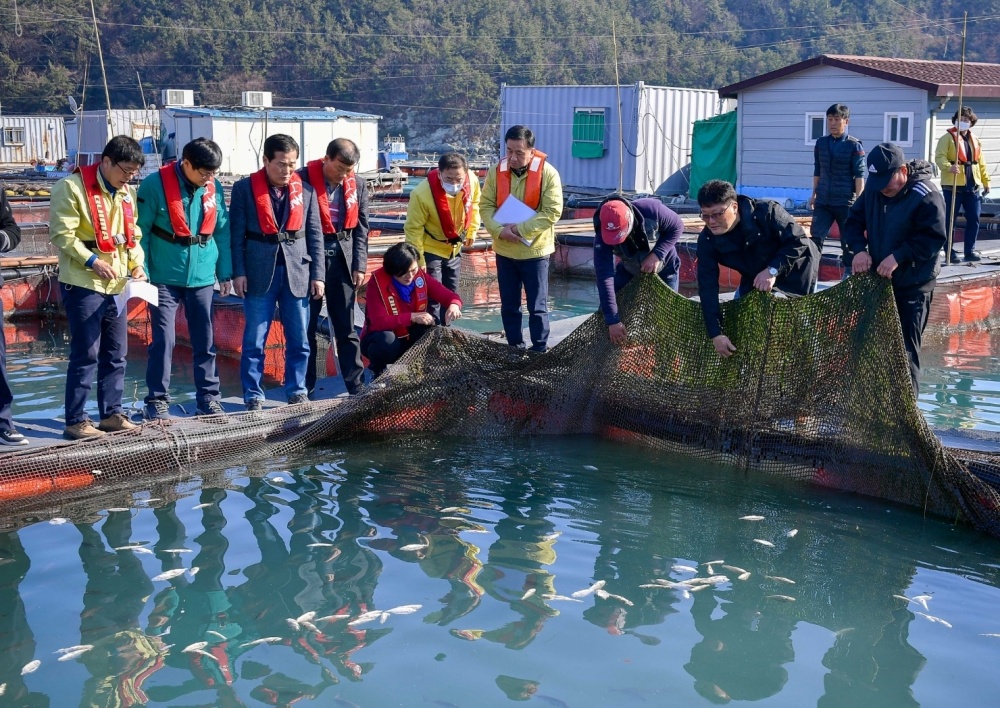 ▲ 저수온 피해를 입은 양식어가를 방문한 시의원과 국회의원, 여수시 관계자 (자료사진)