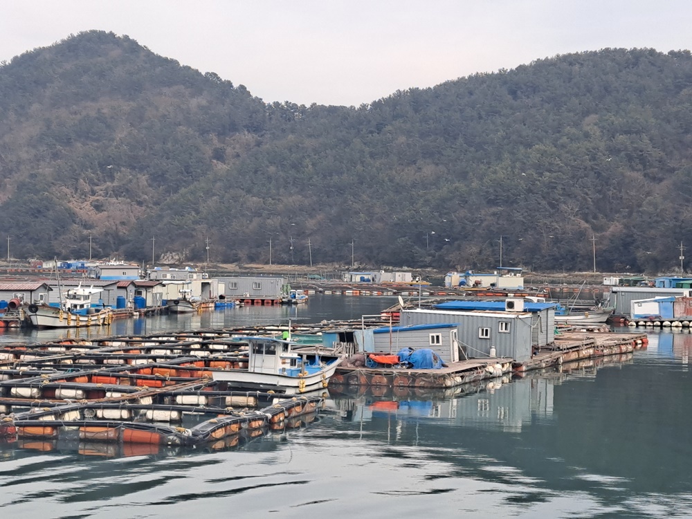 ▲ 화태도 가두리 양식장 ⓒ조찬현