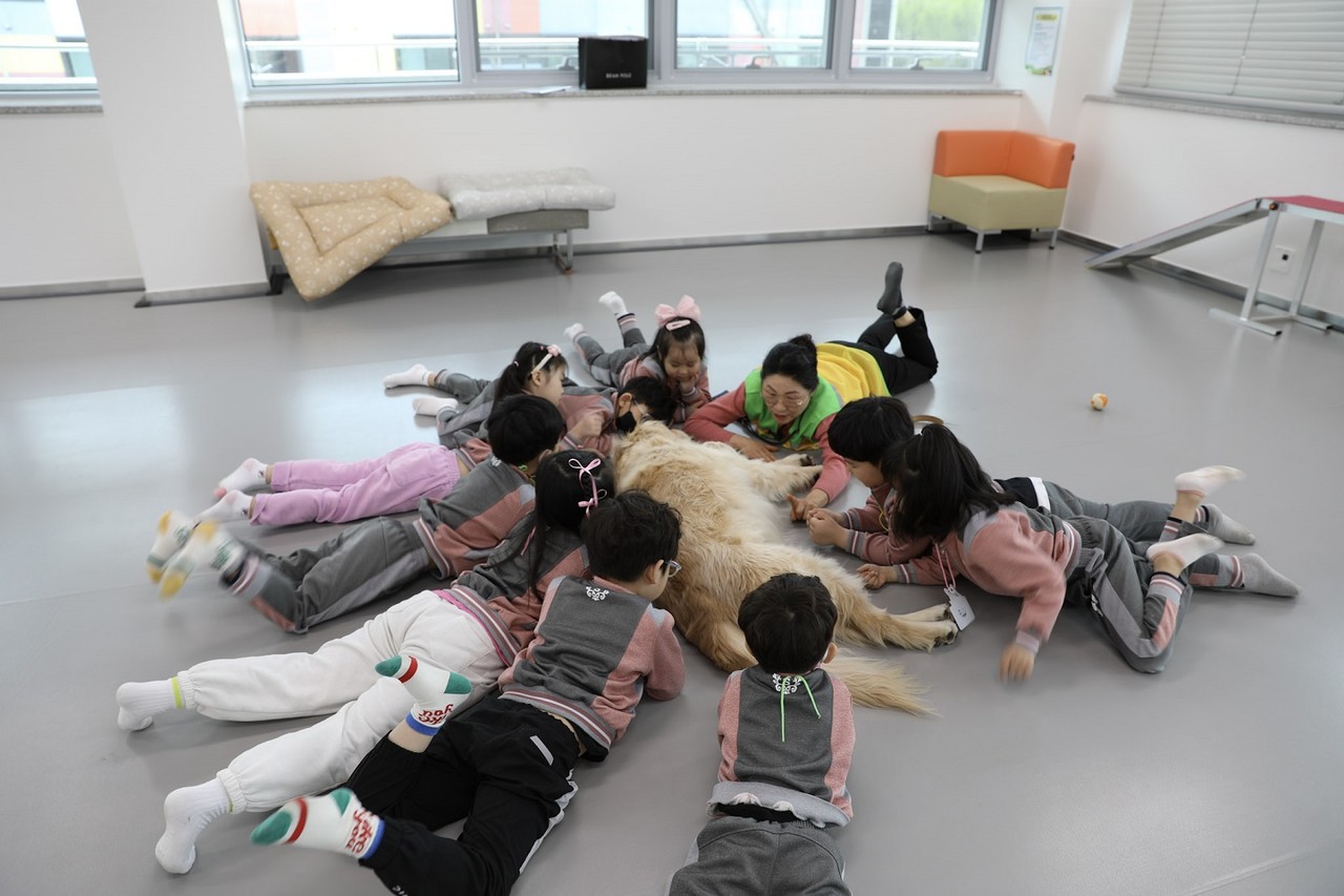 ▲반려동물 교감캠프 수업에 열중한 어린이들 ⓒ순천시