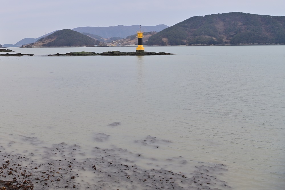 ▲여수 화태도, 사라진 잘피밭 (2025년 2월 27일) ⓒ박근세