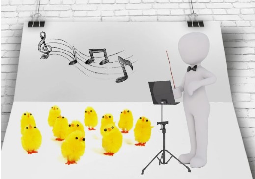 ▲ ⓒ 출처: pixabay