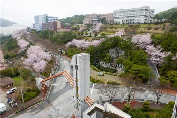 ▲전남대학교 캠퍼스 ⓒ전남대학교
