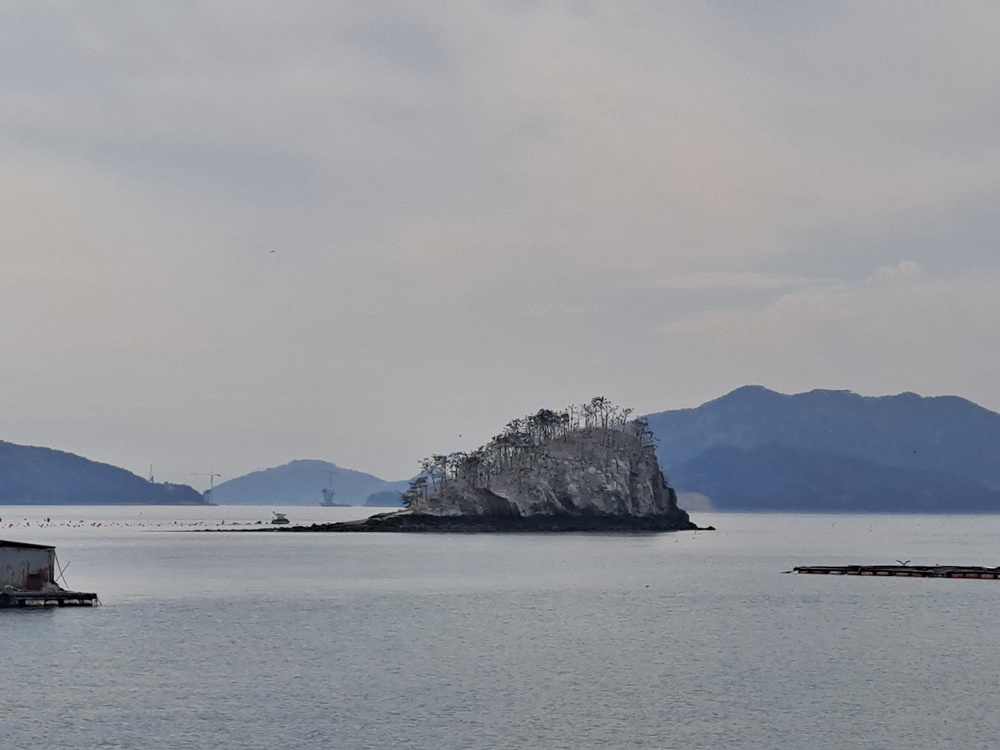 ▲상증도는 돌산읍 군내리 산242에 위치한 섬으로 무인도다. ⓒ조찬현