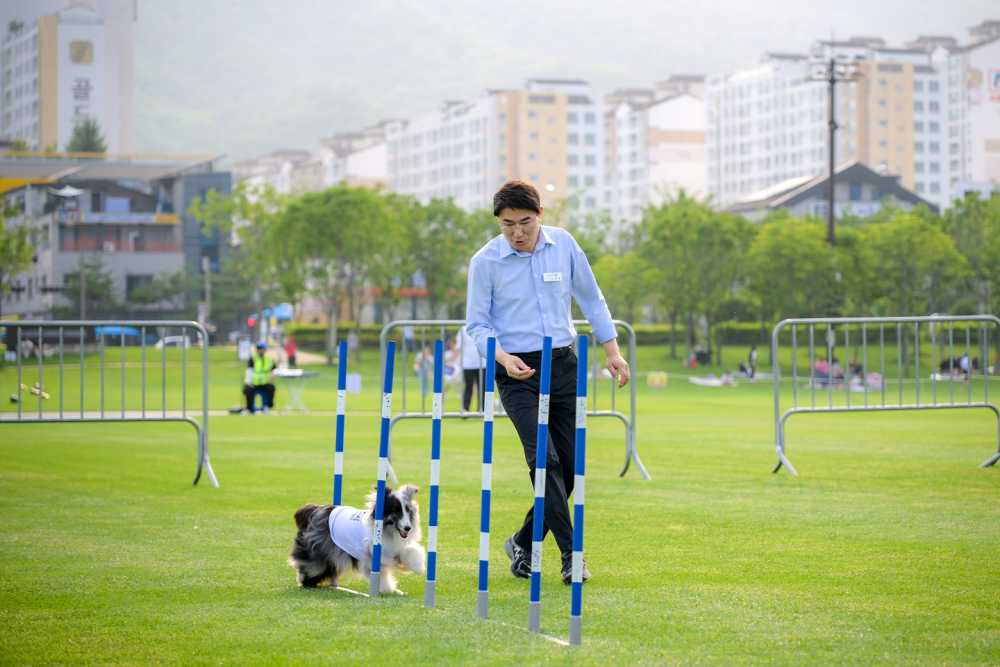 ▲2024년 댕댕나이트런에 함께한 노관규 순천시장 ⓒ순천시