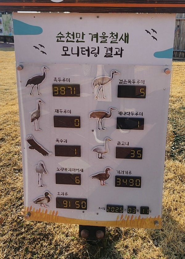 ▲겨울 철새 모니터링 결과2025년 3월 11일 순천만 습지 입구 왼쪽에 게시된 겨울철새 ⓒ김용자