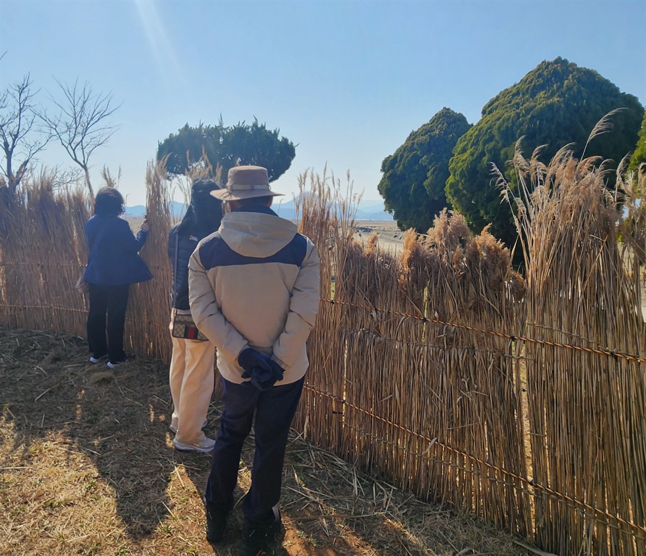 ▲울타리 너머에 뭐가 있을까?울타리 너머로 흑두루미 보고 있는 필자의 친구들 ⓒ김용자