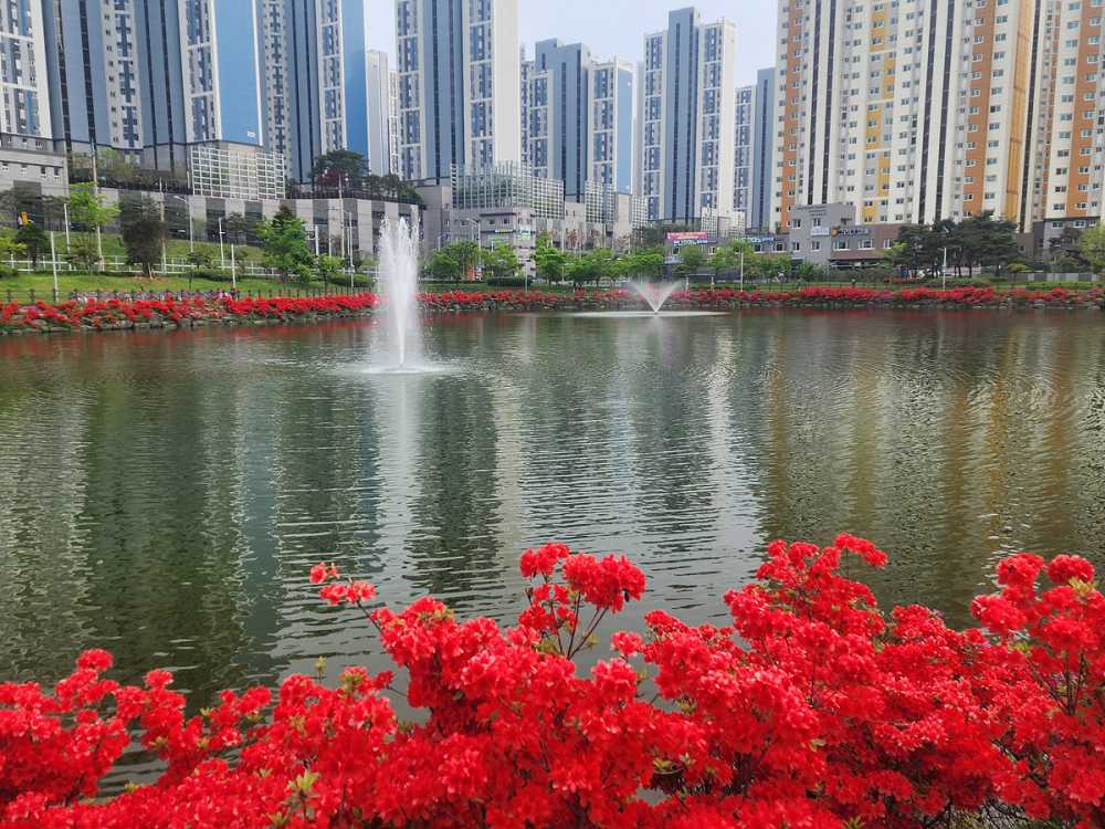 ▲여수 웅천못공원 호수 전경 ⓒ여수시