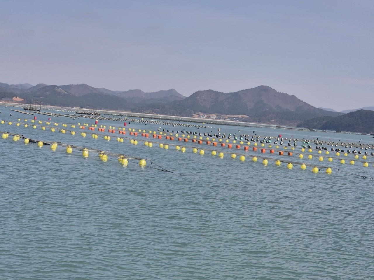 ▲ 인증 부표-해남 해역 ⓒ전라남도