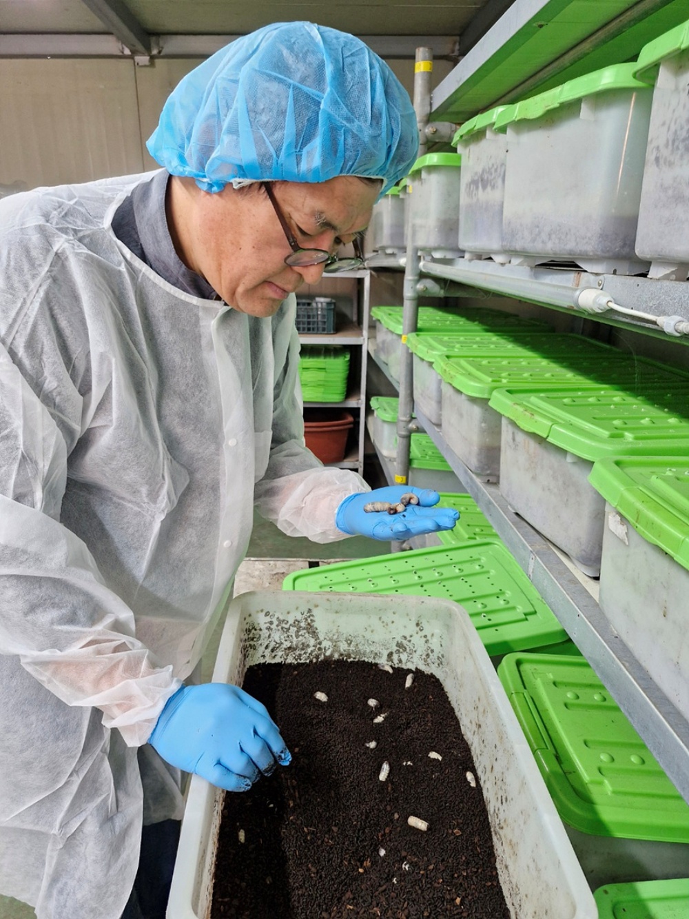 ▲여수 쌍둥이농원농업회사법인 장택순 대표 ⓒ여수시